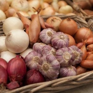 Onions / garlic
