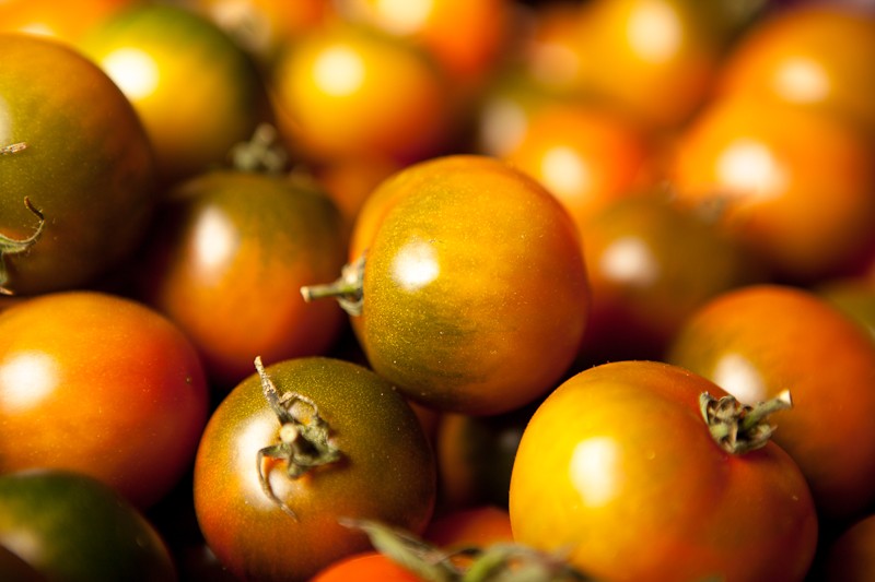 tomate-camone-de-sardaigne