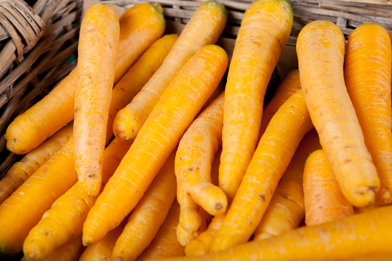 carotte-jaune