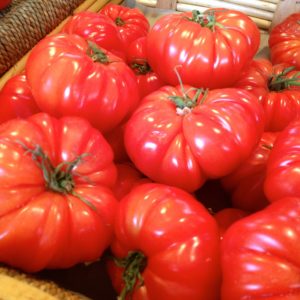 tomate-marmande