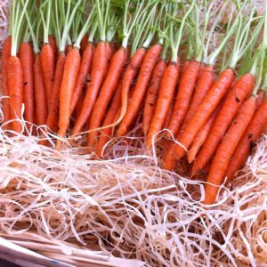 mini-carotte